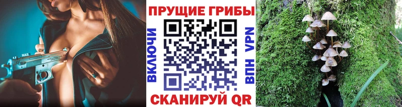 Псилоцибиновые грибы Psilocybe  Хасавюрт 