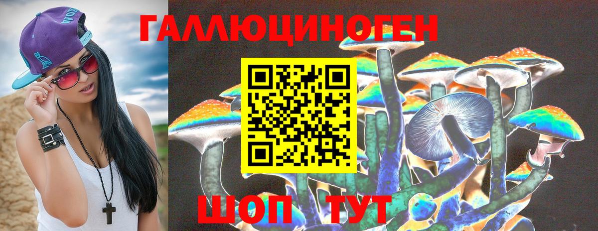 Псилоцибиновые грибы Psilocybine cubensis Хасавюрт