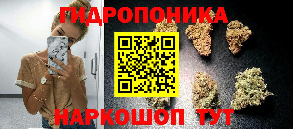Канабис VHQ Хасавюрт